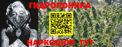 скорость Кинель