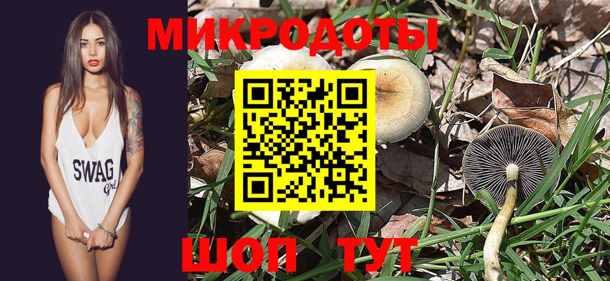 Псилоцибиновые грибы Psilocybe  Вход с VPN  Барабинск 